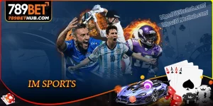 im แพลตฟอร์มเดิมพันระดับพรีเมียมที่เชื่อถือได้