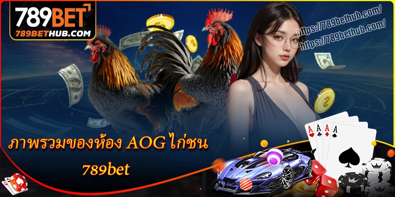 ภาพรวมของห้อง aog ไก่ชน 789bet ภาพรวมของห้อง aog ไก่ชน 789bet