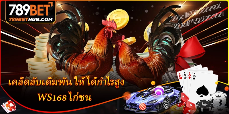 เคล็ดลับเดิมพัน ws168 ไก่ชน ให้ได้กำไรสูง เคล็ดลับเดิมพัน ws168 ไก่ชน ให้ได้กำไรสูง
