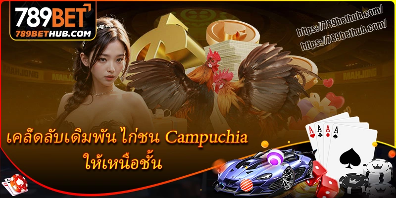 เคล็ดลับเดิมพัน ไก่ชน campuchia ให้เหนือชั้น เคล็ดลับเดิมพัน ไก่ชน campuchia ให้เหนือชั้น