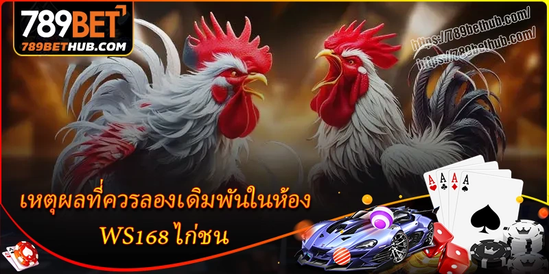 เหตุผลที่ควรลองเดิมพันในห้อง ws168 ไก่ชน เหตุผลที่ควรลองเดิมพันในห้อง ws168 ไก่ชน