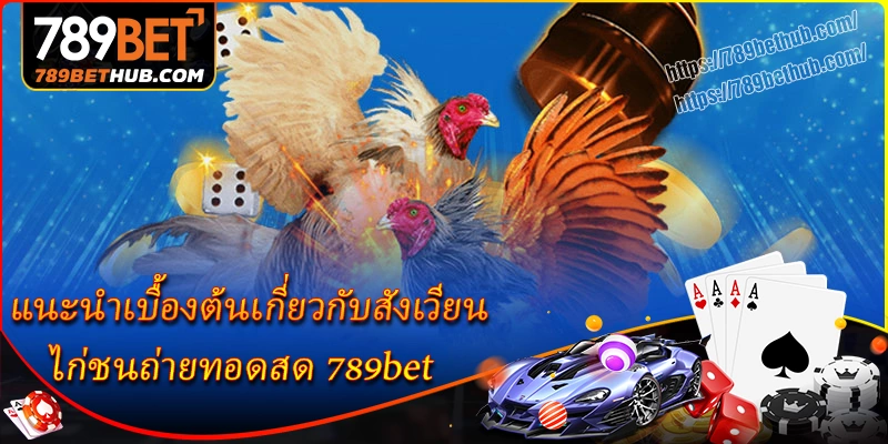 แนะนำเบื้องต้นเกี่ยวกับสังเวียน ไก่ชนถ่ายทอดสด 789bet แนะนำเบื้องต้นเกี่ยวกับสังเวียน ไก่ชนถ่ายทอดสด 789bet