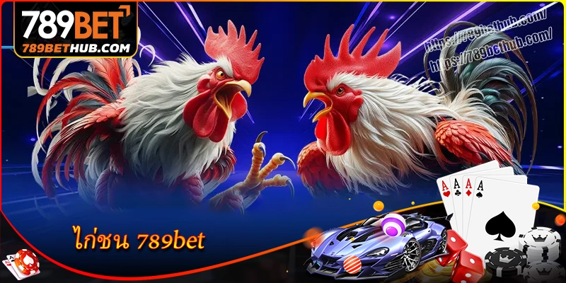 ไก่ชน 789bet ประสบการณ์ถ่ายทอดสดสุดมัน