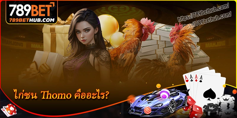 ไก่ชน Thomo คืออะไร ทำไมถึงดึงดูดเซียนเดิมพัน ไก่ชน Thomo คืออะไร ทำไมถึงดึงดูดเซียนเดิมพัน